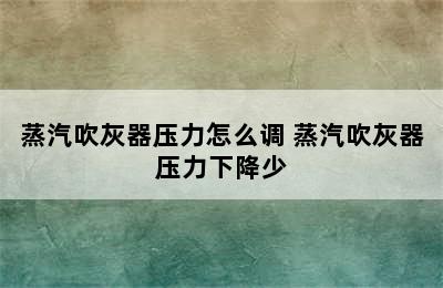 蒸汽吹灰器压力怎么调 蒸汽吹灰器压力下降少